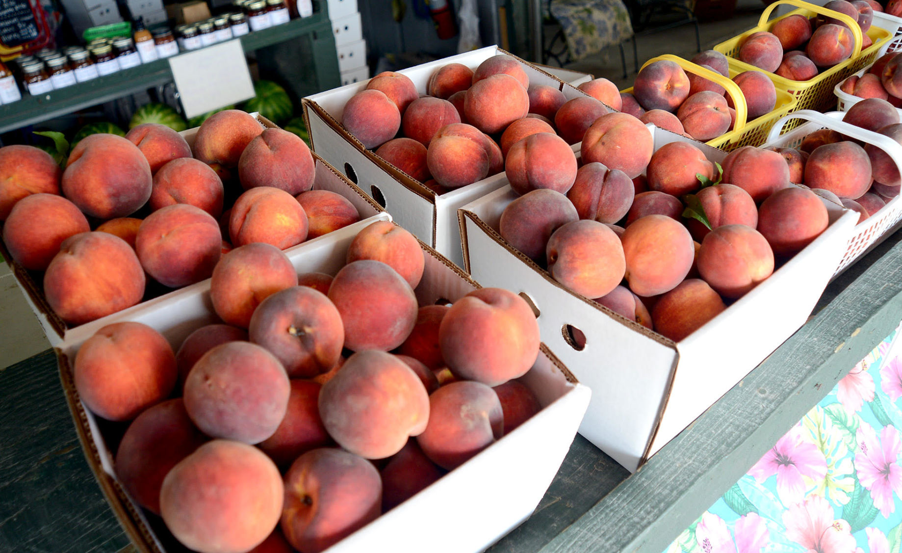 Kalawi Farm Peaches